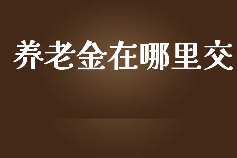 养老金在哪里交_https://cj002.lansai.wang_理财问答_第1张