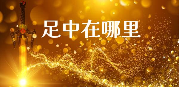 足中在哪里_https://cj002.lansai.wang_金融问答_第1张