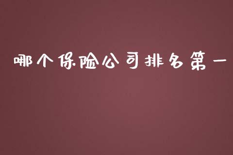 哪个保险公司排名第一_https://cj002.lansai.wang_财经问答_第1张