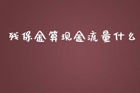 残保金算现金流量什么_https://cj002.lansai.wang_理财问答_第1张