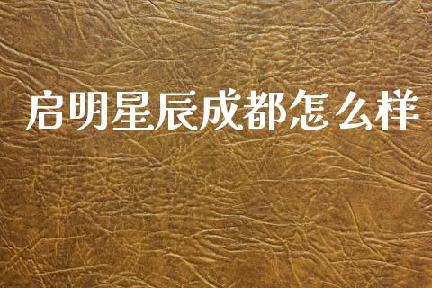 启明星辰成都怎么样_https://cj002.lansai.wang_财经问答_第1张