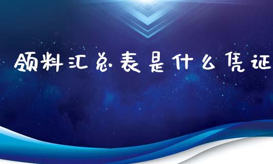 领料汇总表是什么凭证_https://cj002.lansai.wang_会计问答_第1张