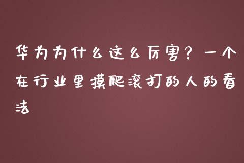 华为为什么这么厉害？一个在行业里摸爬滚打的人的看法_https://cj002.lansai.wang_理财问答_第1张