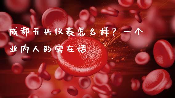 成都天兴仪表怎么样？一个业内人的实在话_https://cj002.lansai.wang_保险问答_第1张
