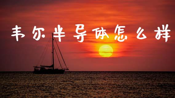 韦尔半导体怎么样_https://cj002.lansai.wang_期货问答_第1张