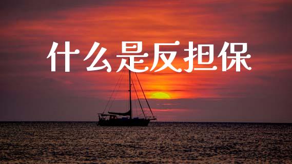 什么是反担保_https://cj002.lansai.wang_理财问答_第1张