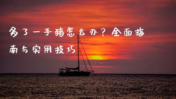 多了一手猪怎么办?全面指南与实用技巧_保险问答_第1张_财经百问网 多了一手猪怎么办?全面指南与实用技巧_https://cj002.lansai.wang_保险问答_第1张