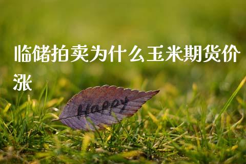 临储拍卖为什么玉米期货价涨_金融问答_第1张_财经百问网 临储拍卖为什么玉米期货价涨_https://cj002.lansai.wang_金融问答_第1张