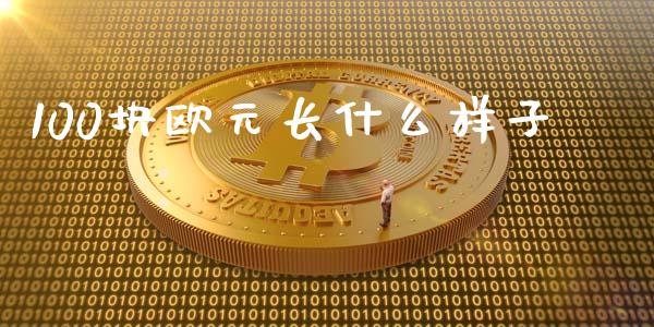 100块欧元长什么样子_https://cj002.lansai.wang_财经问答_第1张