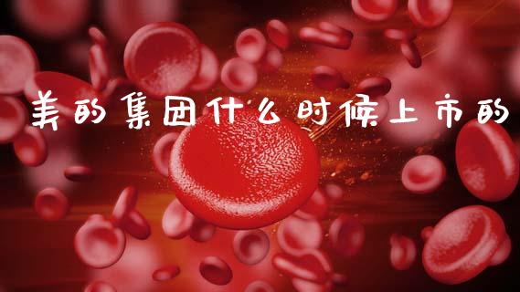 美的集团什么时候上市的_https://cj002.lansai.wang_金融问答_第1张