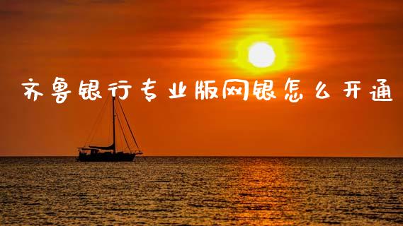 齐鲁银行专业版网银怎么开通_https://cj002.lansai.wang_金融问答_第1张