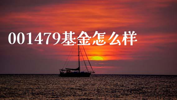 001479基金怎么样_https://cj002.lansai.wang_理财问答_第1张