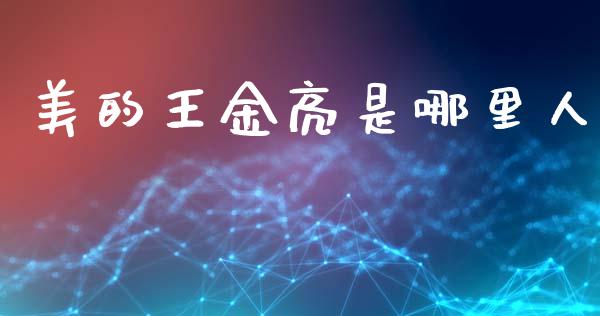 美的王金亮是哪里人_https://cj002.lansai.wang_股市问答_第1张