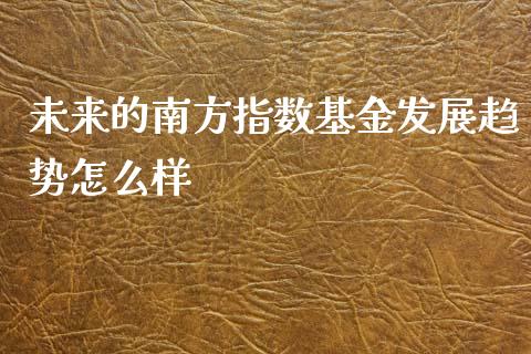 未来的南方指数基金发展趋势怎么样_https://cj002.lansai.wang_股市问答_第1张