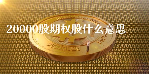 20000股期权股什么意思_https://cj002.lansai.wang_财经问答_第1张
