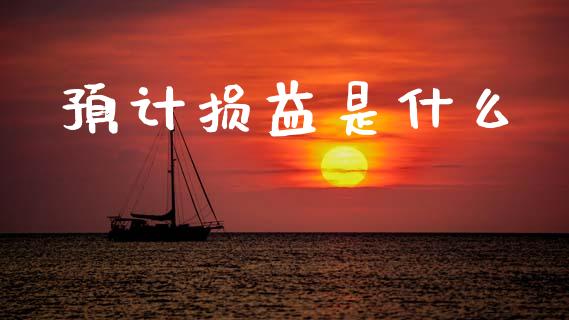 预计损益是什么_https://cj002.lansai.wang_会计问答_第1张