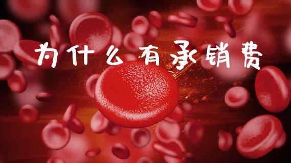 为什么有承销费_https://cj002.lansai.wang_期货问答_第1张