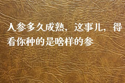 人参多久成熟，这事儿，得看你种的是啥样的参_https://cj002.lansai.wang_金融问答_第1张