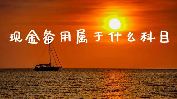 现金备用属于什么科目_https://cj002.lansai.wang_会计问答_第1张