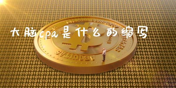 大脑cpa是什么的缩写_https://cj002.lansai.wang_会计问答_第1张