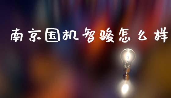 南京国机智骏怎么样_https://cj002.lansai.wang_股市问答_第1张