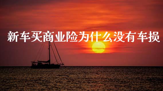 新车买商业险为什么没有车损_https://cj002.lansai.wang_期货问答_第1张