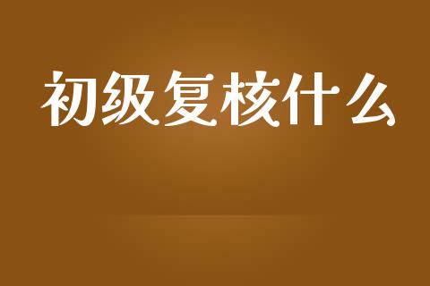 初级复核什么_https://cj002.lansai.wang_会计问答_第1张