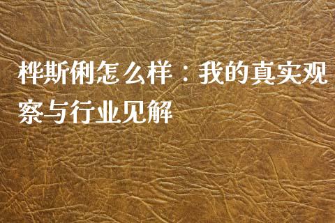 桦斯俐怎么样：我的真实观察与行业见解_https://cj002.lansai.wang_金融问答_第1张