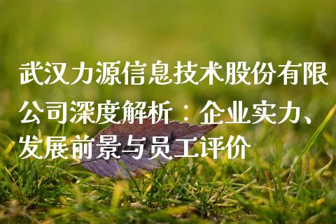 武汉力源信息技术股份有限公司深度解析：企业实力、发展前景与员工评价_https://cj002.lansai.wang_会计问答_第1张