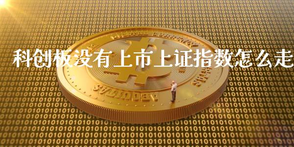 科创板没有上市上证指数怎么走_https://cj002.lansai.wang_股市问答_第1张