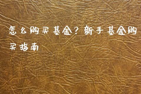 怎么购买基金？新手基金购买指南_https://cj002.lansai.wang_财经问答_第1张