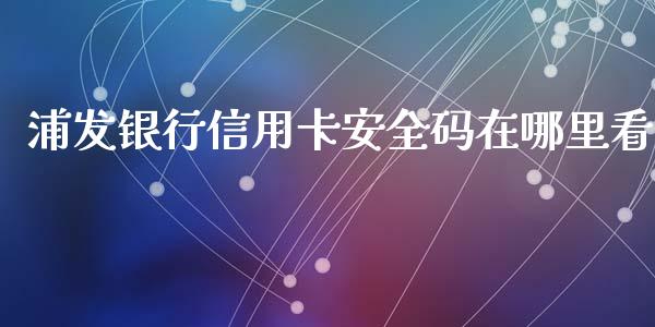 浦发银行信用卡安全码在哪里看_https://cj002.lansai.wang_理财问答_第1张