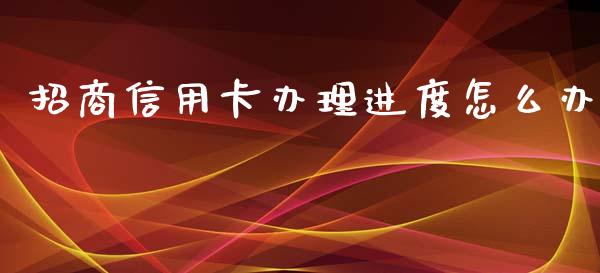 招商信用卡办理进度怎么办_https://cj002.lansai.wang_金融问答_第1张