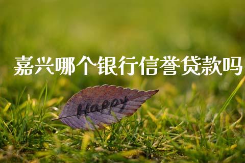 嘉兴哪个银行信誉贷款吗_https://cj002.lansai.wang_股市问答_第1张