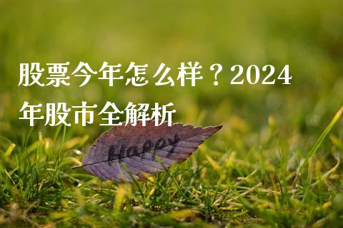 股票今年怎么样？2024年股市全解析_https://cj002.lansai.wang_财经百问_第1张