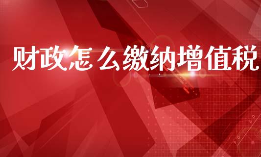 财政怎么缴纳增值税_https://cj002.lansai.wang_财经问答_第1张