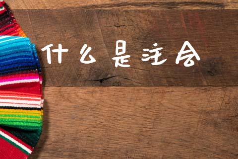 什么是注会_https://cj002.lansai.wang_会计问答_第1张