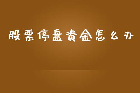 股票停盘资金怎么办_https://cj002.lansai.wang_金融问答_第1张
