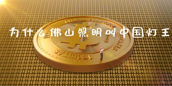 为什么佛山照明叫中国灯王_https://cj002.lansai.wang_期货问答_第1张