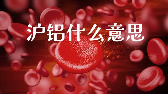 沪铝什么意思_https://cj002.lansai.wang_保险问答_第1张