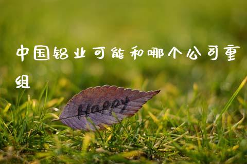 中国铝业可能和哪个公司重组_https://cj002.lansai.wang_保险问答_第1张
