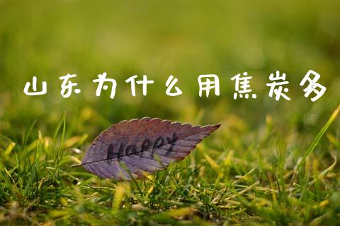 山东为什么用焦炭多_https://cj002.lansai.wang_保险问答_第1张