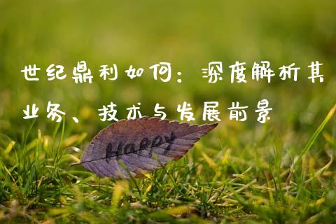 世纪鼎利如何：深度解析其业务、技术与发展前景_https://cj002.lansai.wang_会计问答_第1张