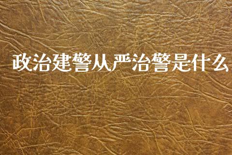 政治建警从严治警是什么_https://cj002.lansai.wang_股市问答_第1张
