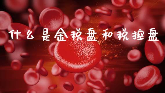 什么是金税盘和税控盘_https://cj002.lansai.wang_会计问答_第1张