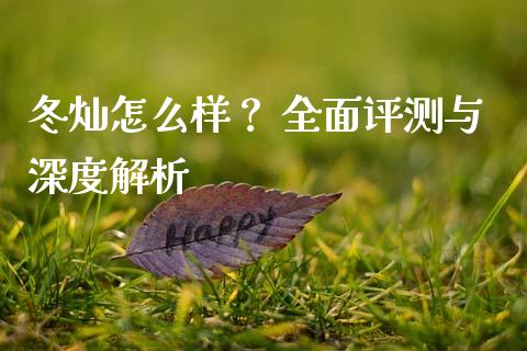 冬灿怎么样？ 全面评测与深度解析_https://cj002.lansai.wang_会计问答_第1张