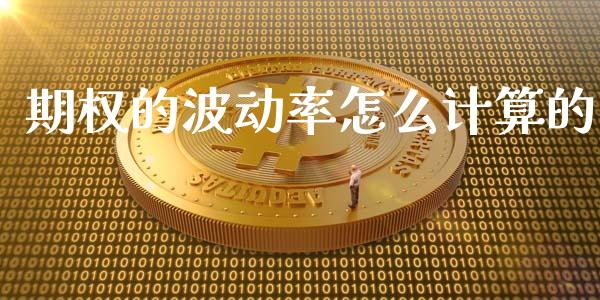 期权的波动率怎么计算的_https://cj002.lansai.wang_财经问答_第1张