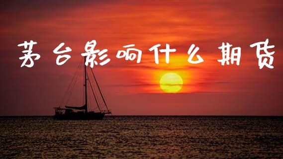 茅台影响什么期货_https://cj002.lansai.wang_会计问答_第1张