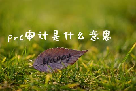 prc审计是什么意思_https://cj002.lansai.wang_会计问答_第1张
