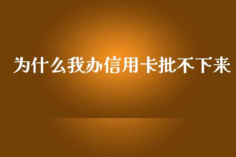 为什么我办信用卡批不下来_https://cj002.lansai.wang_理财问答_第1张